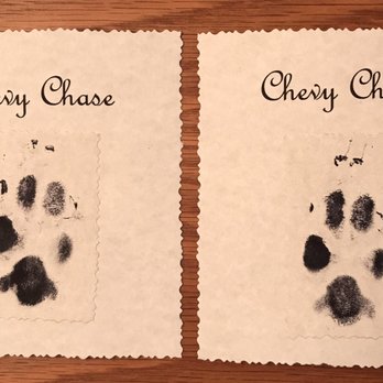 Entrusted Pets - Pet Cremation Services Near Me - Scottsdale, Arizona Entrusted Pets - Pet Cremation Services Near Me - Scottsdale, Arizona