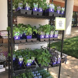 Love the herbs... thyme to plant! Love the herbs... thyme to plant!