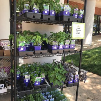 Good Foods Grocery - Love the herbs... thyme to plant! - Health Markets Near Me - Richmond, Virginia Good Foods Grocery - Love the herbs... thyme to plant! - Health Markets Near Me - Richmond, Virginia