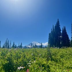Tipsoo Lake