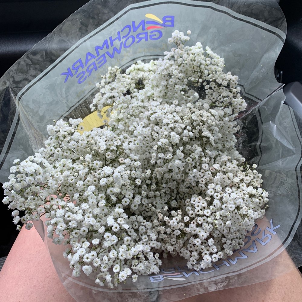Baby's breath flowers Baby's breath flowers