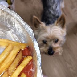 Compadres Diner