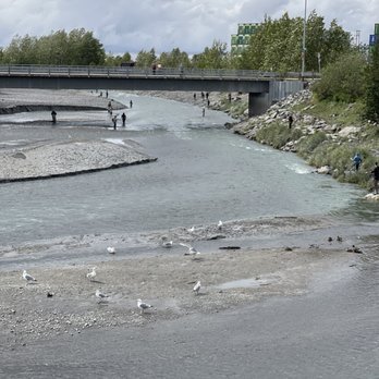 The Bait Shack - Fishing Near Me - Anchorage, Alaska