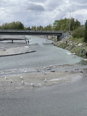 The Bait Shack by null