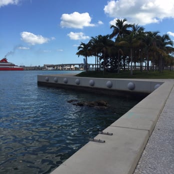 Verde - Walkway at the Perez. - New American Near Me - Miami, Florida Verde - Walkway at the Perez. - New American Near Me - Miami, Florida