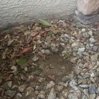 Beautify - When they do pick up leaves they take my rocks with them - Landscaping Near Me