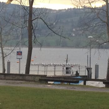 Stiftung Schloss Greifensee - Der Greifensee Steg - Castles Near Me - Greifensee, ZH