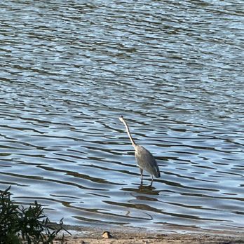 Jordan Lake - Outside my door this morning - Parks Near Me - Apex, North Carolina Jordan Lake - Outside my door this morning - Parks Near Me - Apex, North Carolina