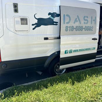 DogDash Mobile Grooming - Great Pyrenees Groomed! - Pet Groomers Near Me DogDash Mobile Grooming - Great Pyrenees Groomed! - Pet Groomers Near Me