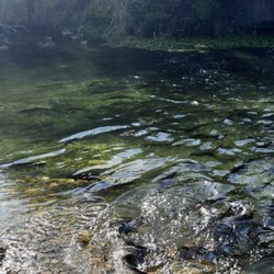 Castalia State Fish Hatchery
