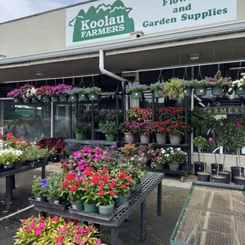Koolau Farmers - Home & Garden Near Me - Kaneohe, Hawaii Koolau Farmers - Home & Garden Near Me - Kaneohe, Hawaii