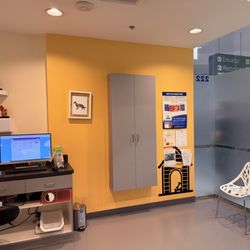 Grand Park Animal Hospital - Exam room 1
