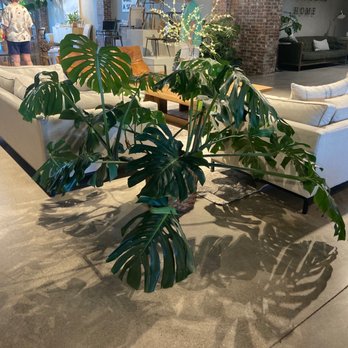 Magnolia Home - Furniture Stores Near Me - Waco, Texas Magnolia Home - Furniture Stores Near Me - Waco, Texas