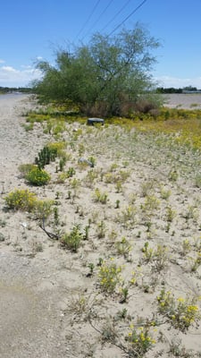 Rio Bosque Park by null