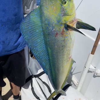 Oceanside Sea Center - Fishing Near Me - Oceanside, California Oceanside Sea Center - Fishing Near Me - Oceanside, California