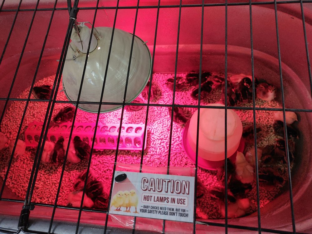 WILCO FARM STORE VANCOUVER Updated September 2024 40 Photos & 33