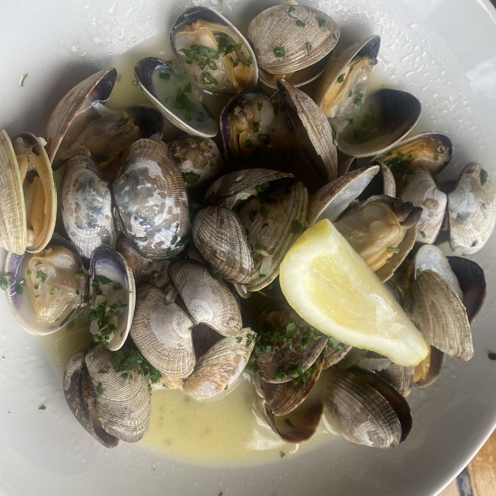Ray's Café - Clams - Seafood Near Me - Seattle, Washington Ray's Café - Clams - Seafood Near Me - Seattle, Washington