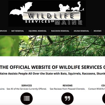 Maine Online Solutions - www.wildlifeservicesofmaine.com by Witt Web Designs - Web Design Near Me Maine Online Solutions - www.wildlifeservicesofmaine.com by Witt Web Designs - Web Design Near Me
