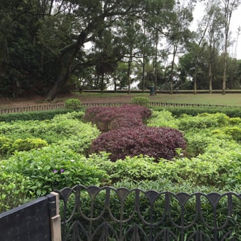山頂公園 - Must be beautiful when things are in bloom - Parks Near Me - Hong Kong, HK