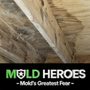 Photo of Mold Heroes