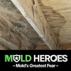 Mold Heroes