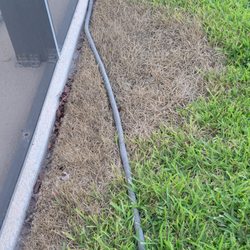 Clean by Gene - one area of bleach damage, This is the same around my whole pool and still 78 days not any better. My bushes are still damaged,