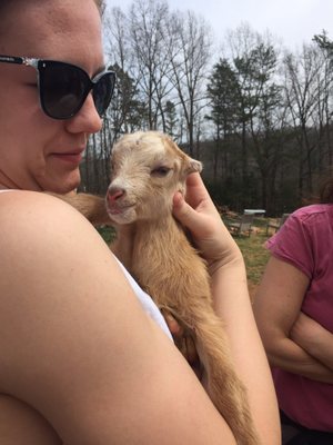 Caromont Farm by null