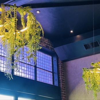 Besame Mucho - Artificial plants and flowers for decor - Breakfast & Brunch Near Me - Santa Rosa, California Besame Mucho - Artificial plants and flowers for decor - Breakfast & Brunch Near Me - Santa Rosa, California