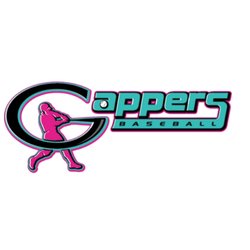 Gappers Indoor Baseball Tech Training