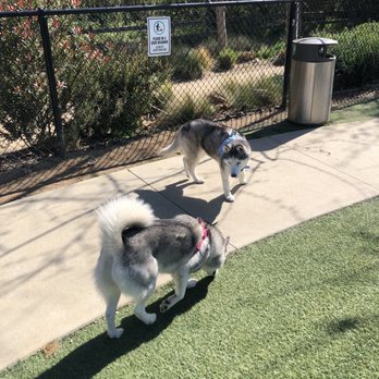 Bluff Creek Dog Park - Dog Parks Near Me - Playa Vista, California Bluff Creek Dog Park - Dog Parks Near Me - Playa Vista, California