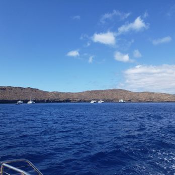 Trilogy Excursions - Snorkeling Near Me - Lahaina, Hawaii