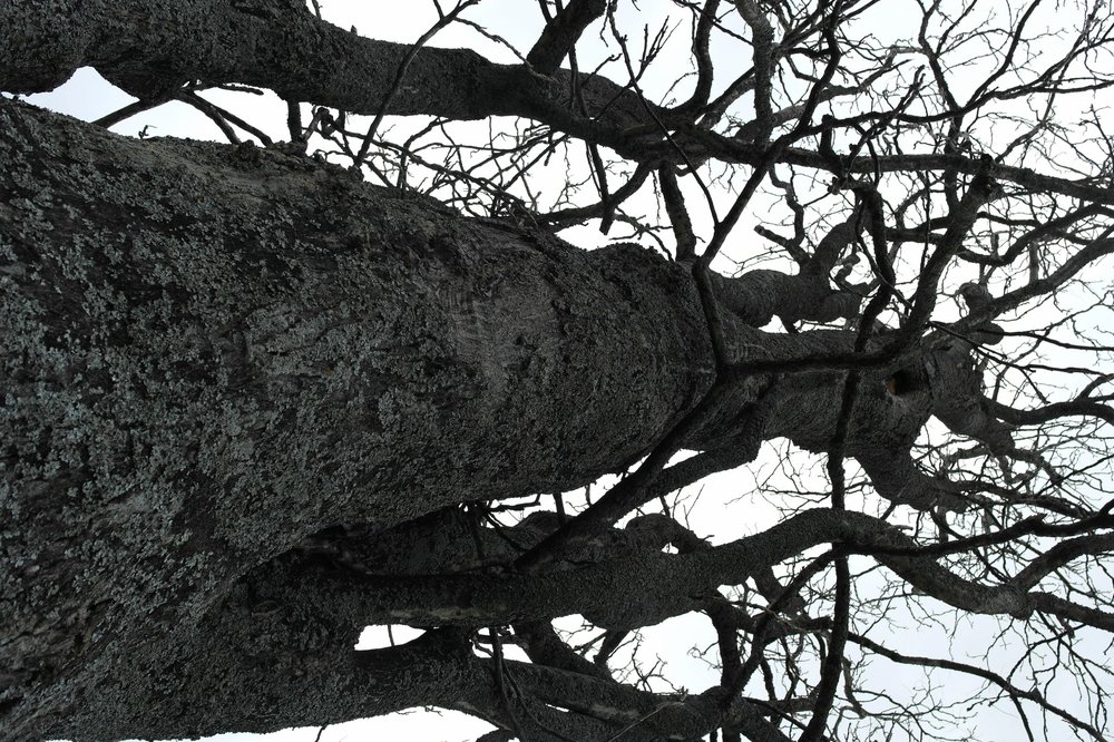 The Brother Kolbe Project - social services organization in Greensboro, NC