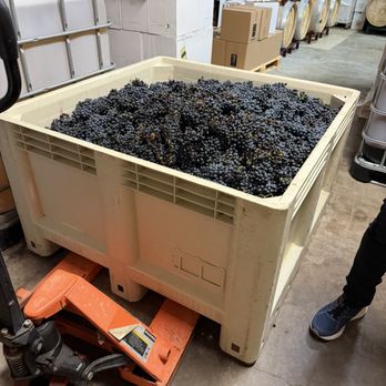 Bernhardt Winery - Spanish varietal - Wineries Near Me - Plantersville, Texas