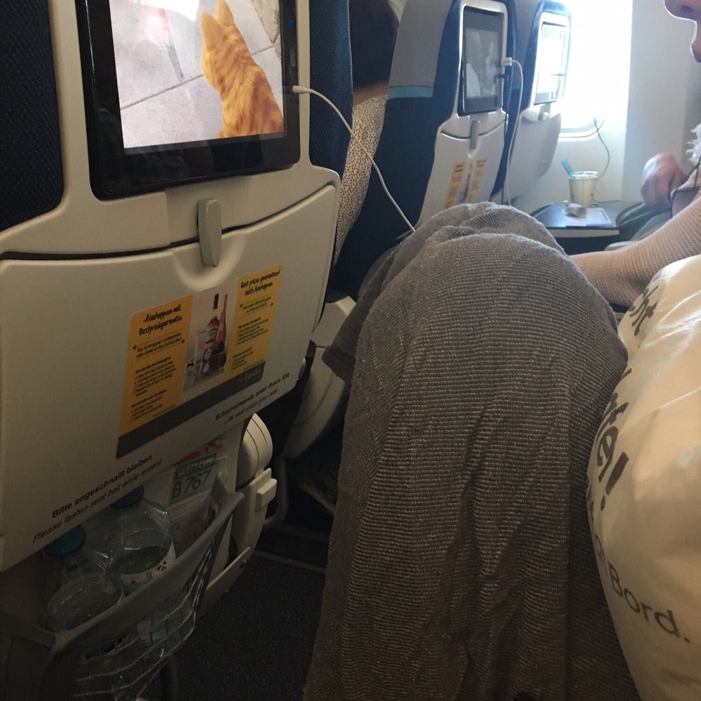 Condor - FOLDED legs. Can you sit like this for 10 hours? Never mind sleep. There was no sleeping. We were in misery. - Airlines Near Me - Portland, Oregon Condor - FOLDED legs. Can you sit like this for 10 hours? Never mind sleep. There was no sleeping. We were in misery. - Airlines Near Me - Portland, Oregon