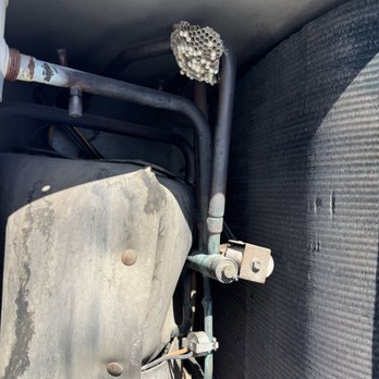 A Bee Solution - Wasp nest inside HVAC - Pest Control Near Me - North Hollywood, California