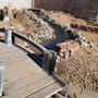 Photo of Yard Exotics And Contractors
