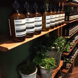 Aesop