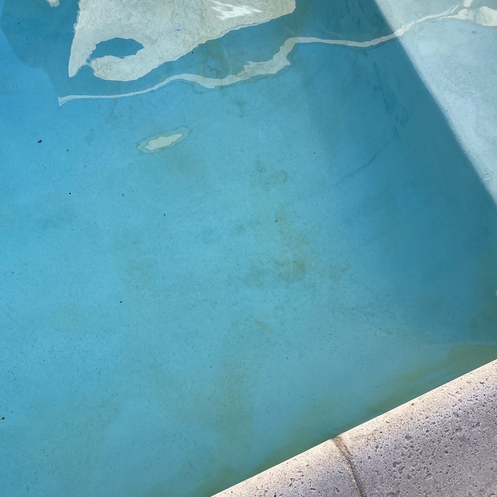 Acapulco Pool Service - Algae after supposedly being treated for algae. - Pool Cleaners Near Me