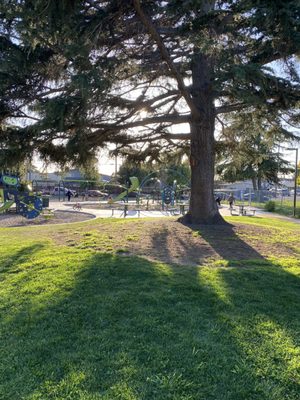 Edendale Park