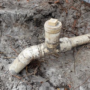 Harvey Baker Plumbing - Before photo : root intrusion - Plumbing Near Me - Orlando, Florida Harvey Baker Plumbing - Before photo : root intrusion - Plumbing Near Me - Orlando, Florida
