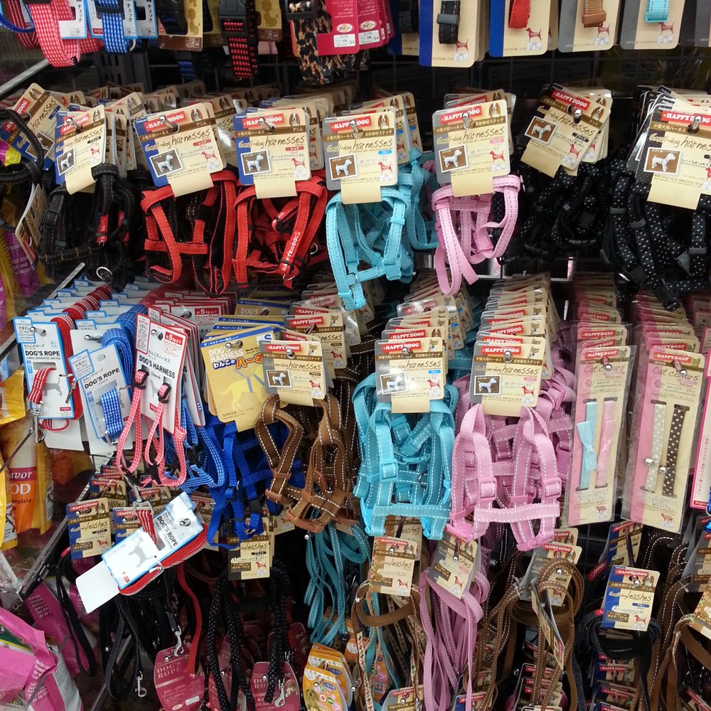 Daiso - Cute harnesses, collars n leash3s!!! - Discount Store Near Me - Lake Forest, California Daiso - Cute harnesses, collars n leash3s!!! - Discount Store Near Me - Lake Forest, California