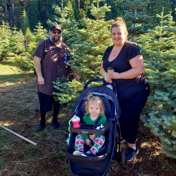 Harris Family Farm - Christmas tree "choose & cut" - Christmas Trees Near Me - Pollock Pines, California Harris Family Farm - Christmas tree "choose & cut" - Christmas Trees Near Me - Pollock Pines, California