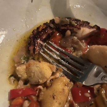 Scales - octopus - Seafood Near Me - Portland, Maine Scales - octopus - Seafood Near Me - Portland, Maine