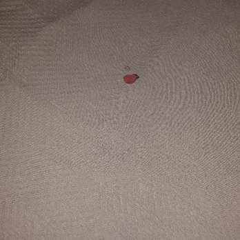 Motel 6 - burns in blanket - Hotels Near Me - Manteca, California