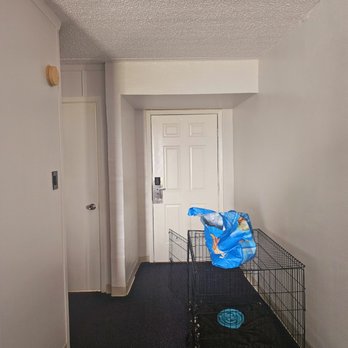 Crystal Palace Resort - Entry way big enough for largest kennels - Resorts Near Me - Port Bolivar, Texas