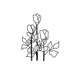 Alyson Flynn & Associates