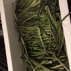 The Curve Inn - Asparagus anyone