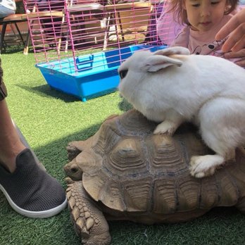 Gan Shelanu Pre-School Center - Preschools Near Me - Sherman Oaks, California