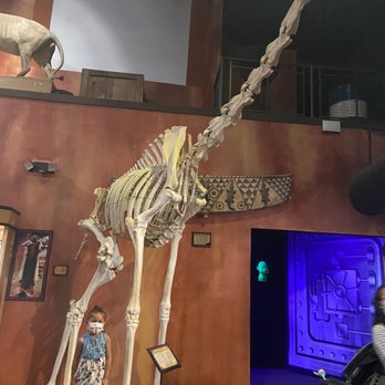 Ripley's Believe It or Not! - Museums Near Me - San Antonio, Texas