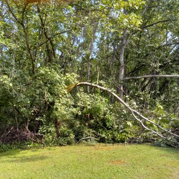 Mendez Tree Service - Right after the storm. - Tree Services Near Me Mendez Tree Service - Right after the storm. - Tree Services Near Me